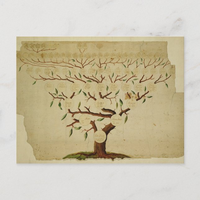 Bach Family Tree, c.1750-1770 Postcard (Front)