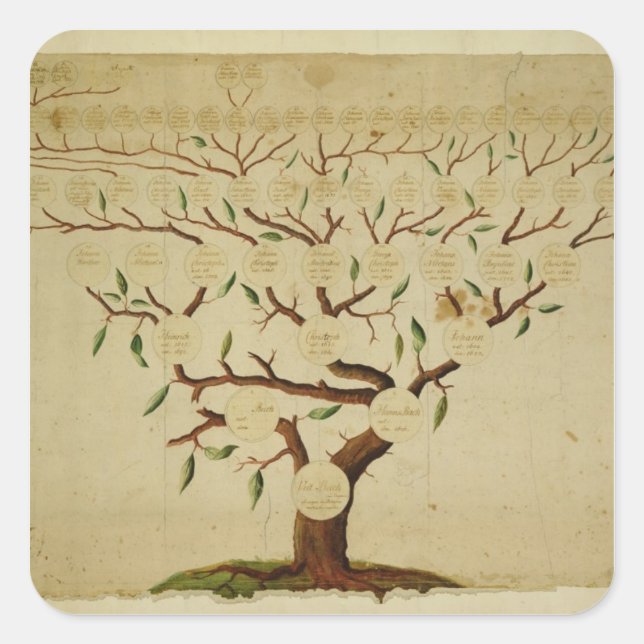 Bach Family Tree, c.1750-1770 Square Sticker (Front)