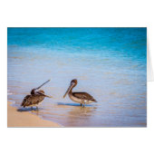 Bachas Beach Pelicans (Front Horizontal)