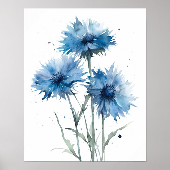 Bachelor Buttons Flower Art Print Poster (Front)