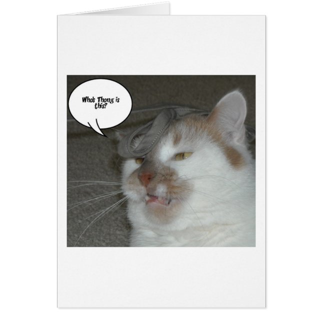 Bachelor Party Humor Cards (Front)