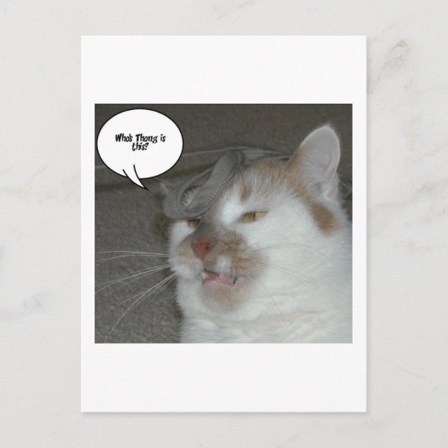 Bachelor Party Humor Postcard (Front)