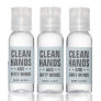 Bachelorette party clean hands dirty minds blue hand sanitizer