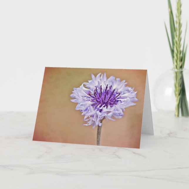 Bachelors Button Art Note Card (Front)