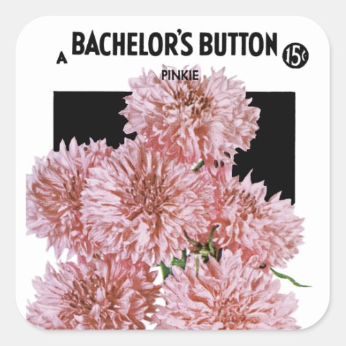 Bachelors Button Seed Packet Label