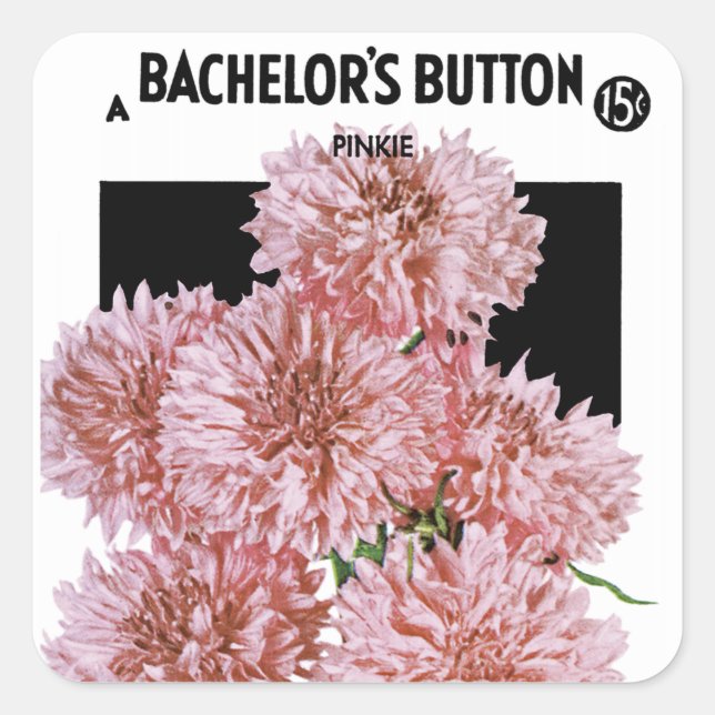 Bachelor's Button Seed Packet Label (Front)