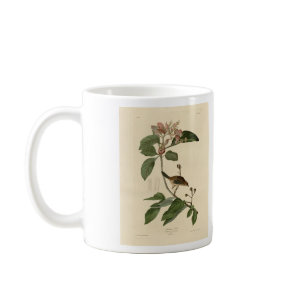 Bachman's Finch (Sparrow) Audubon Birds of America Coffee Mug