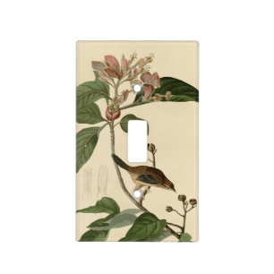 Bachman's Finch (Sparrow) Audubon Birds of America Light Switch Cover