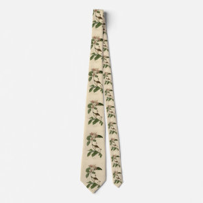 Bachman's Finch (Sparrow) Audubon Birds of America Neck Tie