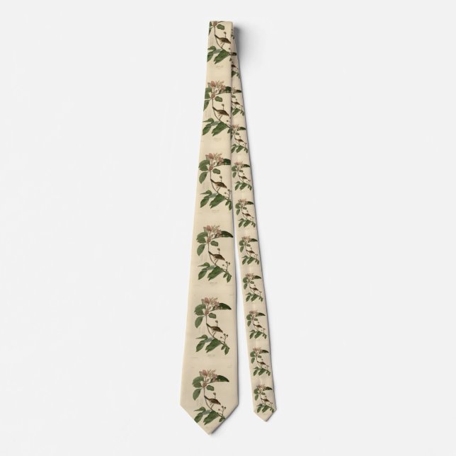 Bachman's Finch (Sparrow) Audubon Birds of America Neck Tie (Front)