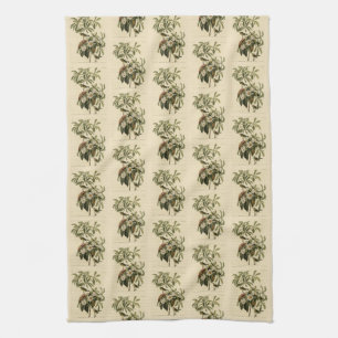 Bachman's Warbler, from Audubon's Birds of America Kitchen Towel