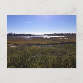 Back Bay, Newport Beach, California Postcard