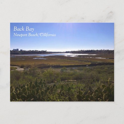 Back Bay Newport Beach California Postcard