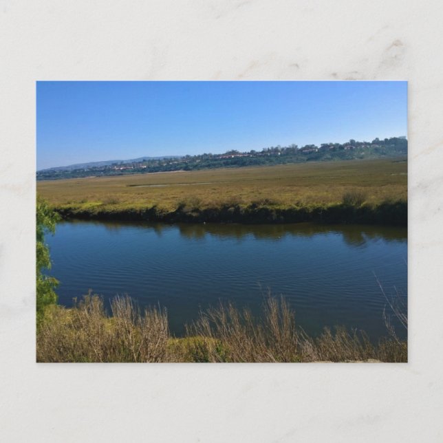 Back Bay, Newport Beach, California Postcard (Front)