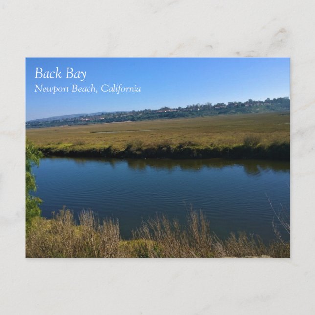 Back Bay, Newport Beach, California Postcard (Front)