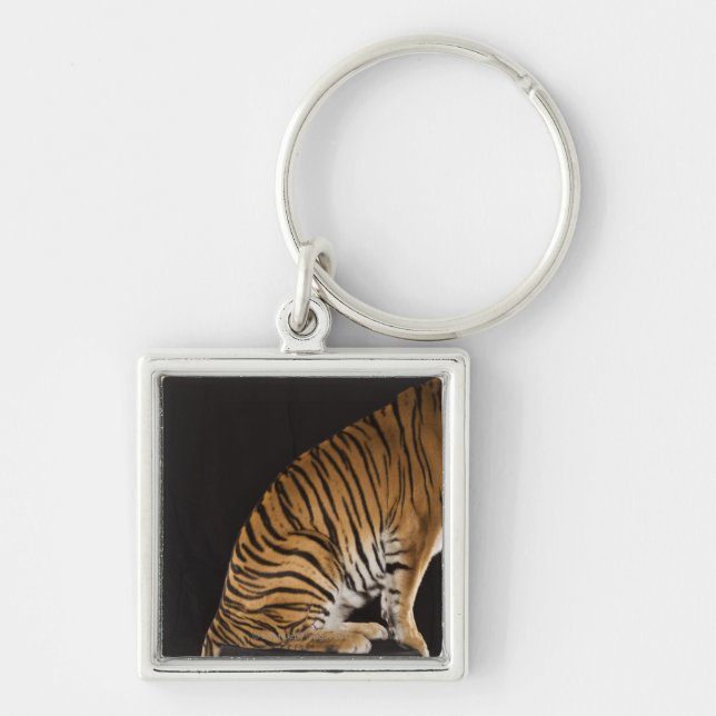 Back end of tiger sitting on platform keychain (Front)