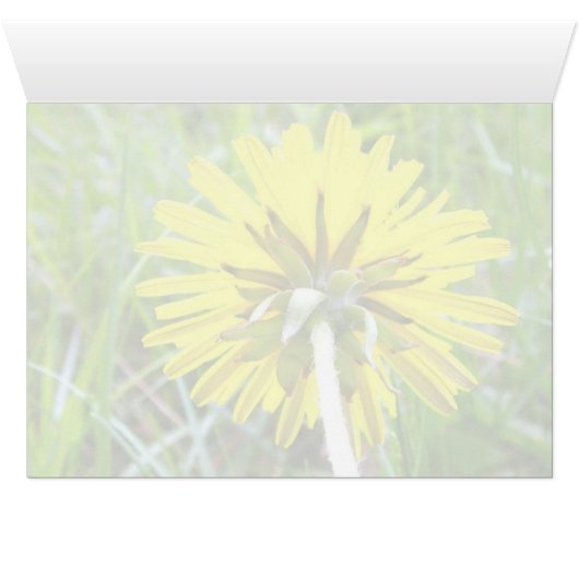 Back of Dandelion (Inside Horizontal (Bottom))