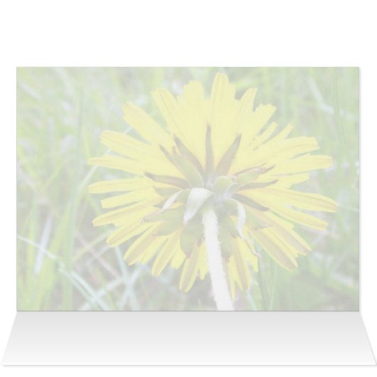 Back of Dandelion (Inside Horizontal (Top))