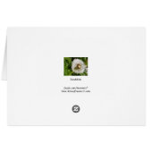 Back of Dandelion Cards (Back Horizontal)