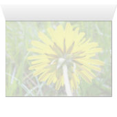 Back of Dandelion Cards (Inside Horizontal (Bottom))