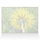 Back of Dandelion Cards (Inside Horizontal (Top))