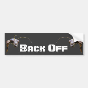 Back Off 1 ~ Bumper Sticker