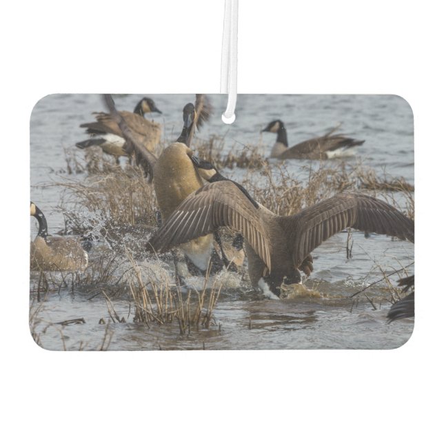 Back Off Car Air Freshener (Back)