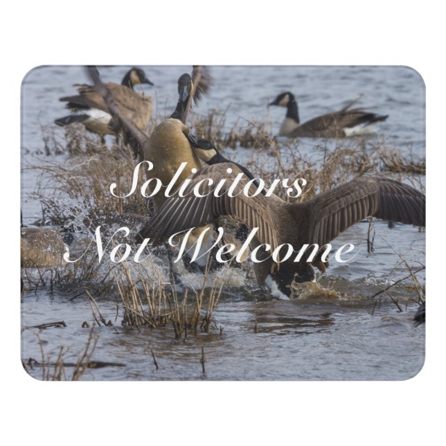 Back Off No Solicitors Sign (Contemporary Front)