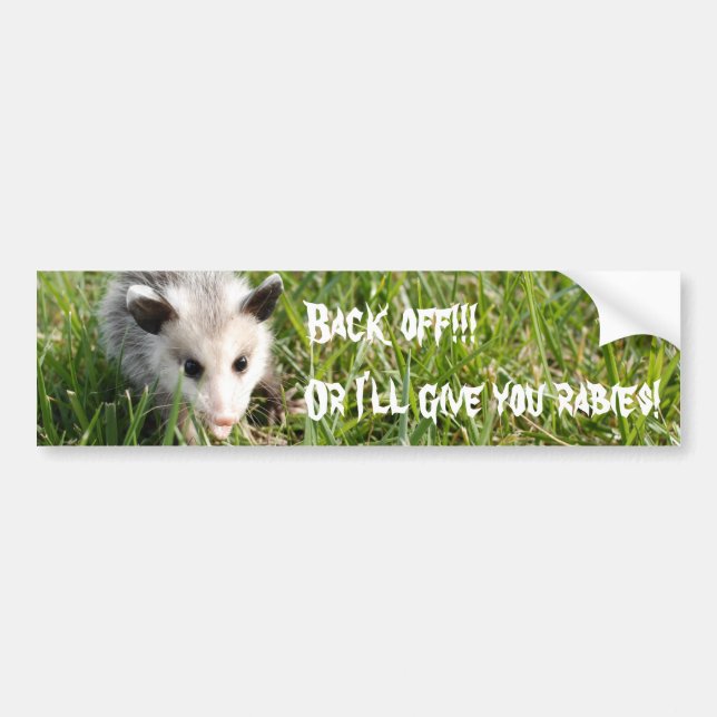 Back off!!! Or I'll give you rabies! Bumper Sticker (Front)