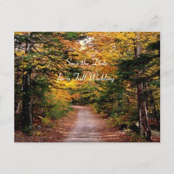 Back Road Fall Save The Date Template Postcards by fallcolors at Zazzle