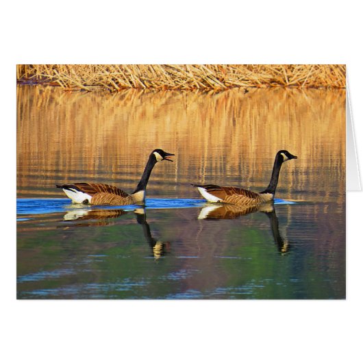 Back Seat Driver (Front Horizontal)