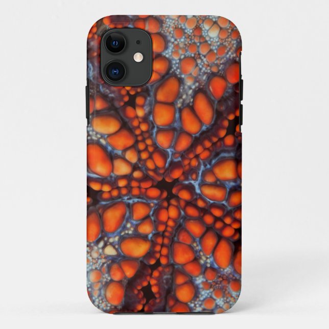 Back Side Of Sea Star |Cambodia Case-Mate iPhone Case (Back)