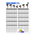 Back Squat - Pounds