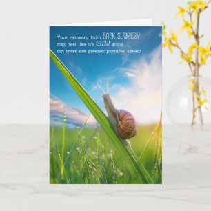 Back Surgery Get Well Snail Pace Card