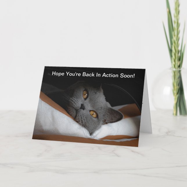 Back Surgery Get Well Soon Gray Cat Card (Front)