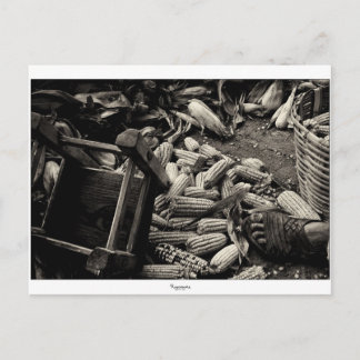 BACK TO BASIC postcard