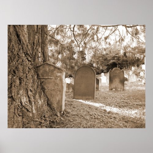 Back To Nature _ Gravestones and Trees Poster