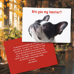 Back to School Boston Terrier Welcome Cards