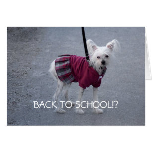 Back To School Cards