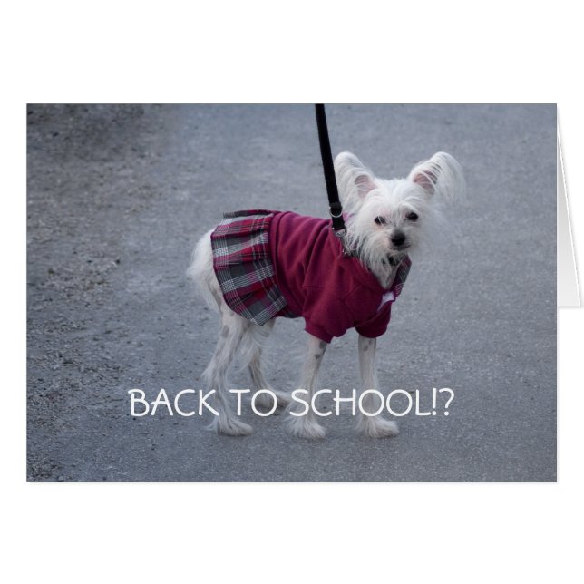 Back To School Cards (Front Horizontal)