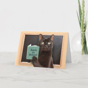 Back to School Cat Reading Book Humor  Holiday Card