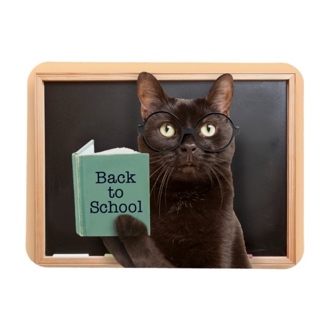 Back to School Cat Reading Book Humor  Magnet (Horizontal)