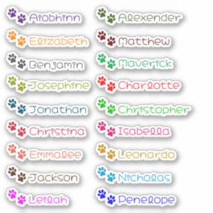 Back to School Custom Multiple Name Stickers