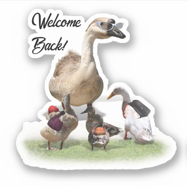 Back To School Ducks Sticker (Front)