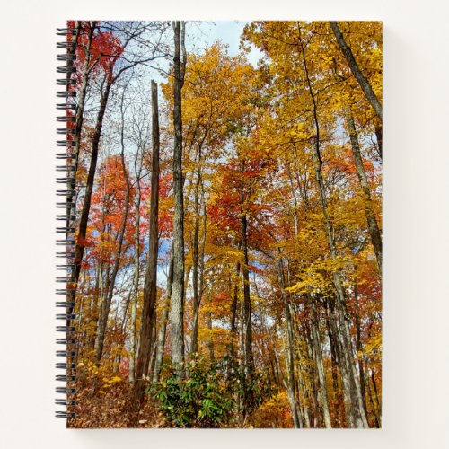 Back to School Fall Leaves Nature Notebook