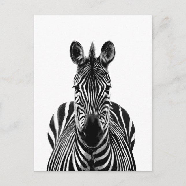 Back Up Plan III Postcard (Front)