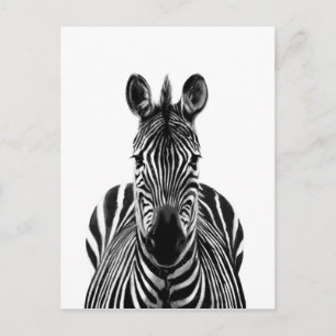 Back Up Plan III Postcard