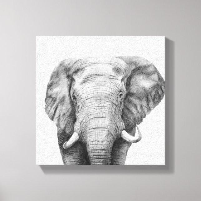 Back Up Plan IV Canvas Print (Front)