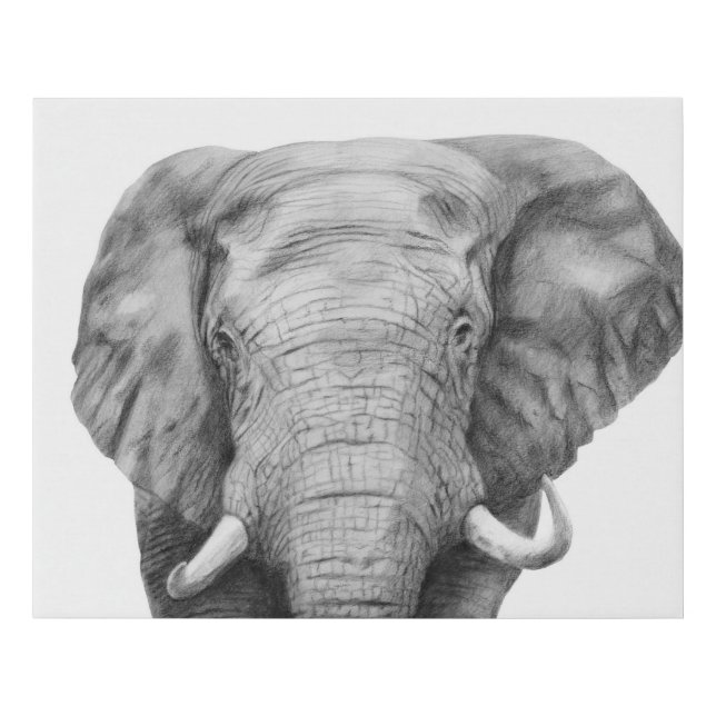 Back Up Plan IV Faux Canvas Print (Front)