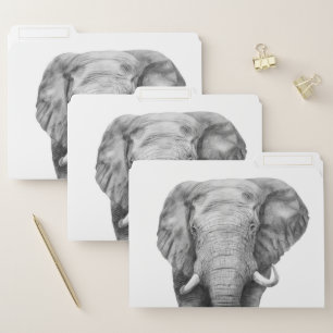 Back Up Plan IV File Folder